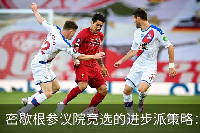 密歇根参议院竞选的进步派策略：风险与机遇的双面考量
